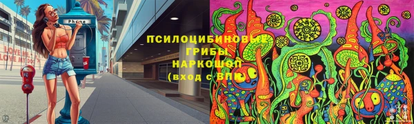 стаф Белоозёрский